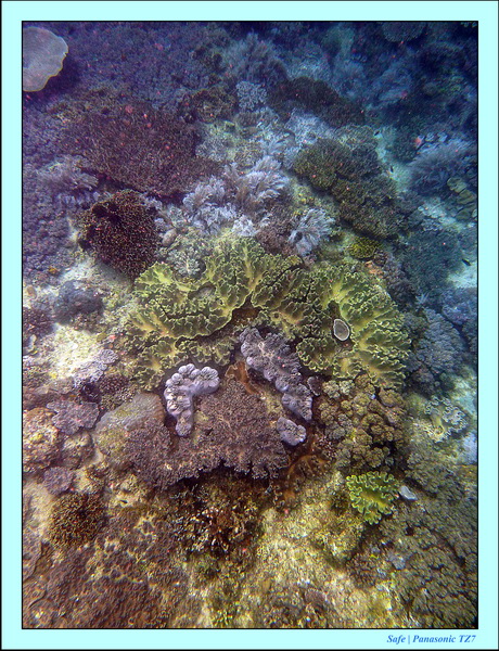 2012 - 07 - Boracay plongee - 04